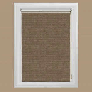 Cut-to-Size Bermuda Cordless Light Filtering Fade resistant Roller Shades 35 in. W x 72 in. L