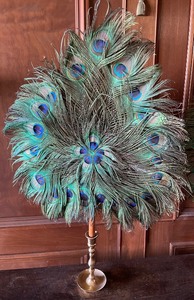 lot 106 image: Pretty Peacock Feather Decor