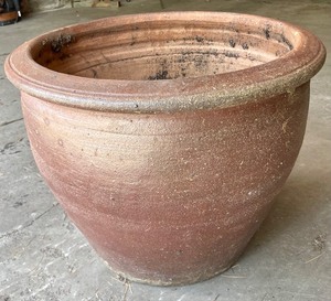 lot 245 image: Plump Planter