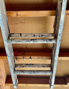 lot 243 image: Extension Ladder