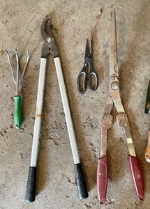 lot 248 image: Various Gardening Tools