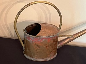 lot 45 image: Fun Smith and Hawken Decorative Watering Can