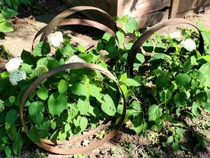 lot 268 image: Vintage Wagon Wheel Bands Yard Decor Lot