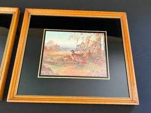 Pair of Pheasant Pictures
