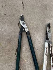 Branch Trimmers and Ax