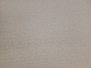 Tan Carpet 77x12