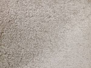 Newbern Classic Casual Cream Carpet 137x12