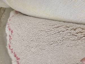 Tan Carpet 30x12