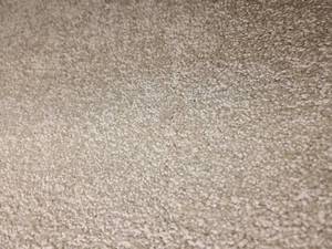 Tuflex Sugar Ridge Biscotti Carpet 49x12