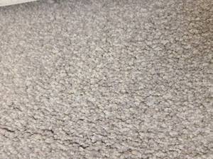 Beaumont Amica Carpet 34x12