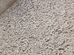 Costello Otter Carpet 35x12