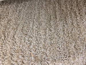 Beige Carpet 589x12