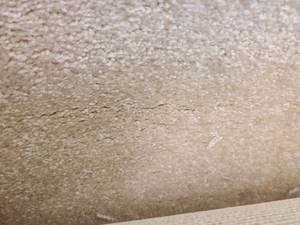 Monterey Sand Castle Carpet 433x12