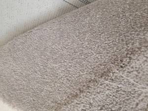 Allure Bisque Carpet 329x12