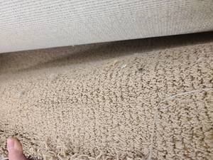 Mocha Carpet 214x12