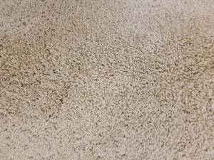 Charisoma Adobe Carpet 106x12
