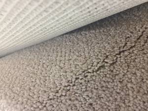 Omystic Moonlight Carpet 232x12