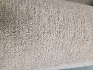 Light GrayTan Carpet 143x12