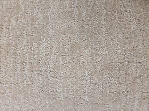 Tan Carpet 169x8