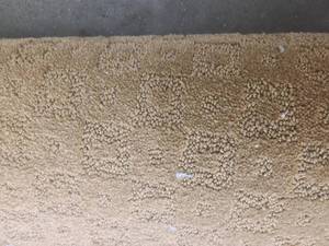 Park Square Camelia Carpet 9x12