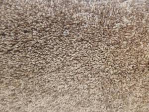 Brown Carpet 18x12