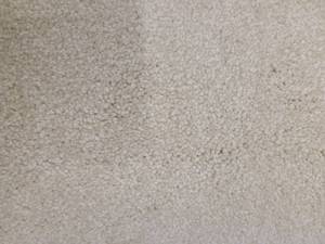 Marvelous Ecru Carpet 8x89
