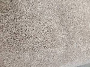 Light Brown Carpet 10x74