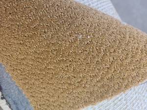 Brown Carpet 66x12