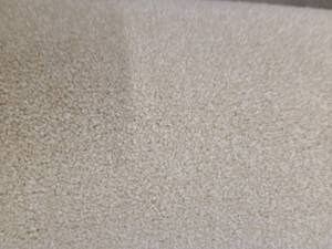 Marvelous Ecru Carpet 8x89