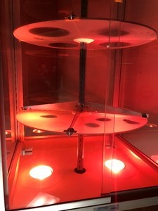 lot 228 image: Lighted Display Case