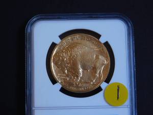 2018 1 Oz. Gold Buffalo NGC MS70 John Mercanti signed  Beautiful Coin NGC price guide for an  MS70 is $2,750