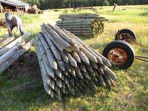 Bundle of 7 Foot Fence Posts.