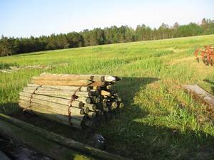 Bundle of 7 Foot Fence Posts.