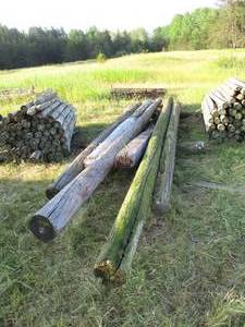 5 Telephone Poles and 1 Railroad Tie