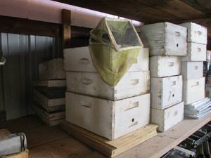 Lot of Beehives (not live).