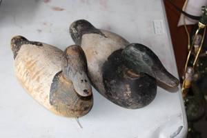 Lot of (2) Duck Decoys