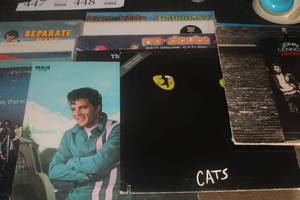 Lot of (14) Vintage LP Record Albums
