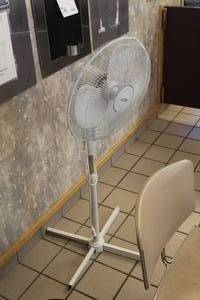 lot 147 image: Living Solutions 15 Oscillating Pedestal Fan