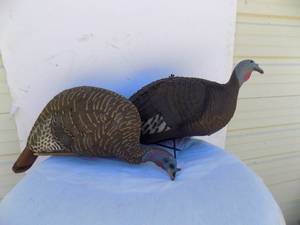 2 - Turkey Decoys
