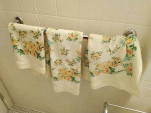 Contents Of Bathroom