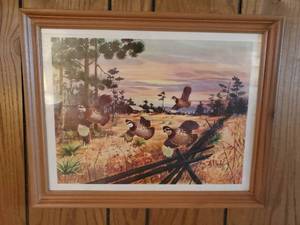 Les Kouba Quail Print