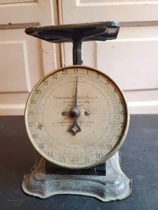 Vintage Columbia 24 LB Family Scale