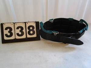 lot 338 image: Gatorback Back Support Belt - 2XL
