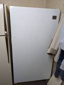 lot 18 image: Signature Upright Freezer