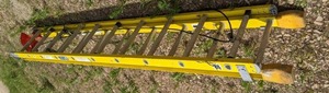 lot 152 image: Louisville 20 Ft Extendable Ladder