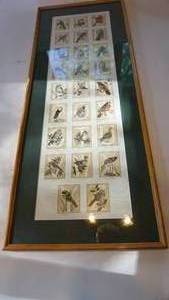 lot 255 image: ABC print of birds