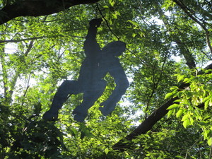 Ape in a Tree