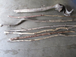 Walking Sticks