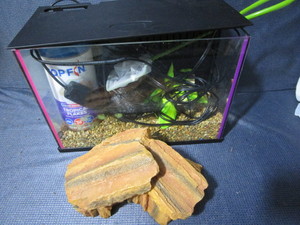 Aquarium