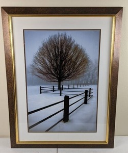 lot 81 image: Serene Framed Wall Art Solitude by David Lorenz Winston